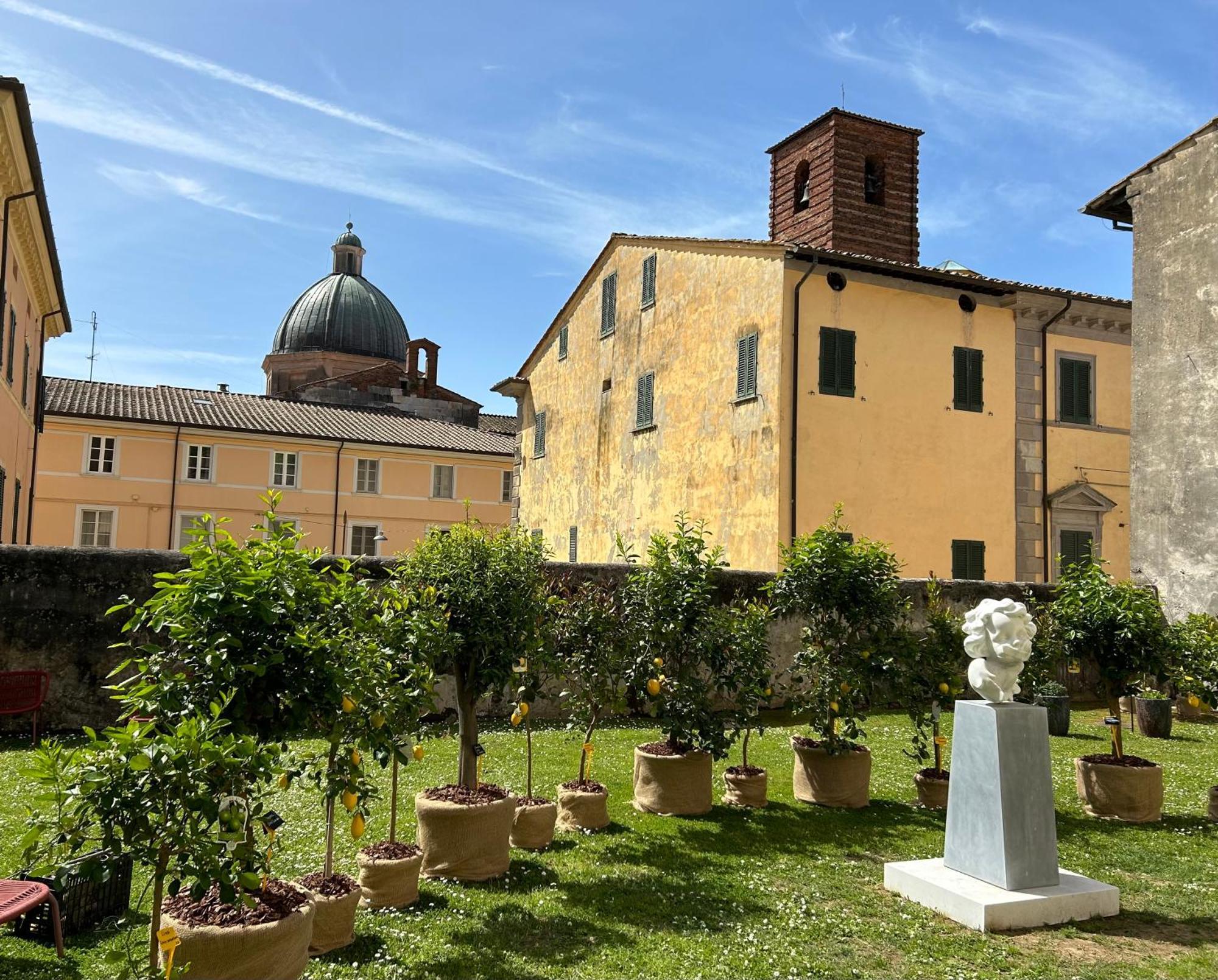 Art Hotel Pietrasanta Exterior photo